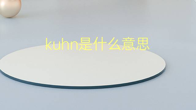 kuhn是什么意思 kuhn的翻译、读音、例句、中文解释