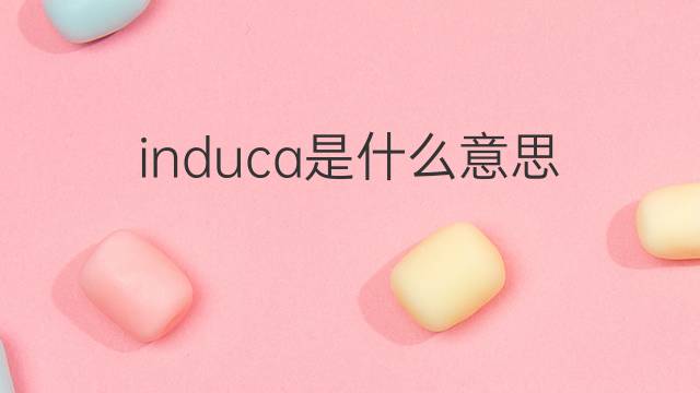 induca是什么意思 induca的翻译、读音、例句、中文解释