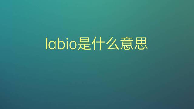 labio是什么意思 labio的翻译、读音、例句、中文解释