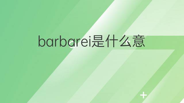 barbarei是什么意思 barbarei的翻译、读音、例句、中文解释