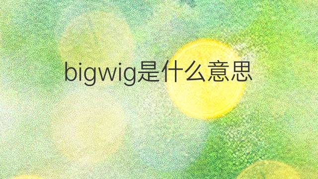 bigwig是什么意思 bigwig的翻译、读音、例句、中文解释