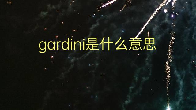 gardini是什么意思 gardini的翻译、读音、例句、中文解释