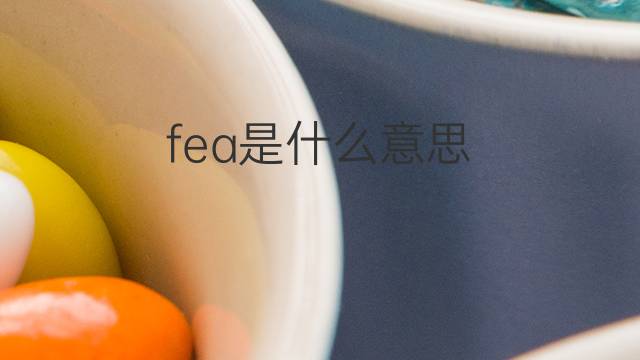 fea是什么意思 fea的翻译、读音、例句、中文解释