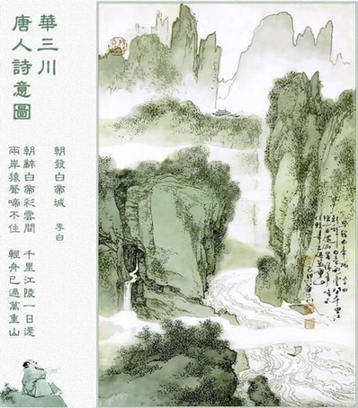 小鸡宝宝考考你，两岸猿声啼不住，这里的“猿”最可能是什么（图文）