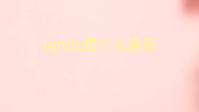 tenda是什么意思 tenda的翻译、读音、例句、中文解释