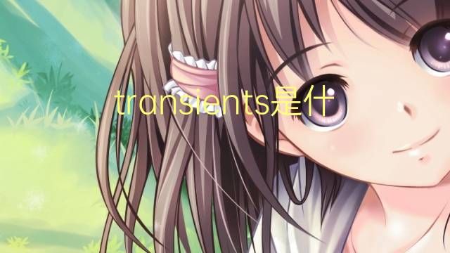 transients是什么意思 transients的翻译、读音、例句、中文解释