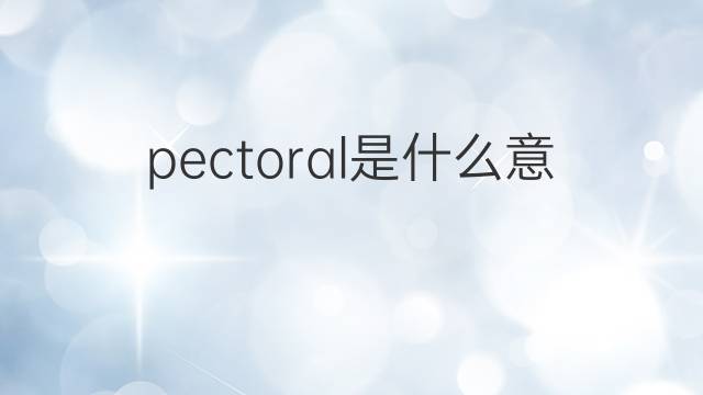 pectoral是什么意思 pectoral的翻译、读音、例句、中文解释