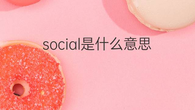 social是什么意思 social的翻译、读音、例句、中文解释