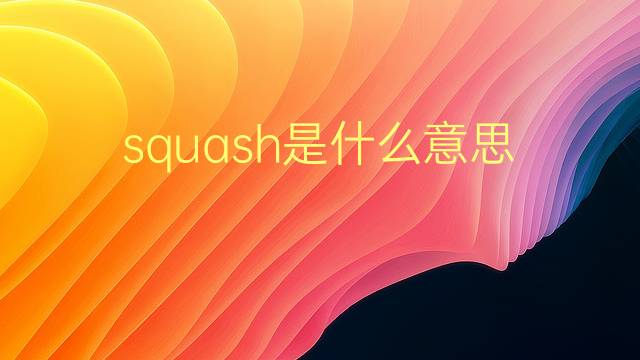 squash是什么意思 squash的翻译、读音、例句、中文解释