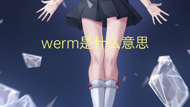 werm是什么意思 werm的翻译、读音、例句、中文解释