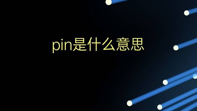 pin是什么意思 pin的翻译、读音、例句、中文解释