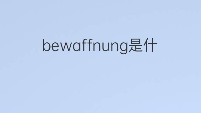 bewaffnung是什么意思 bewaffnung的翻译、读音、例句、中文解释