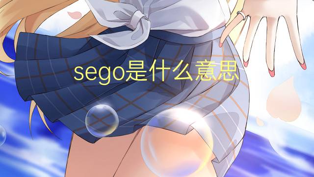 sego是什么意思 sego的翻译、读音、例句、中文解释