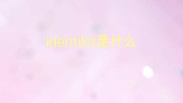 identikit是什么意思 identikit的翻译、读音、例句、中文解释