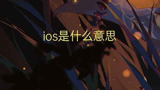 ios是什么意思 ios的翻译、读音、例句、中文解释