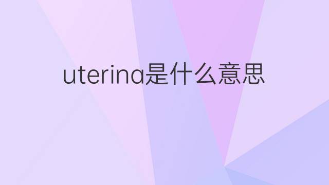 uterina是什么意思 uterina的翻译、读音、例句、中文解释