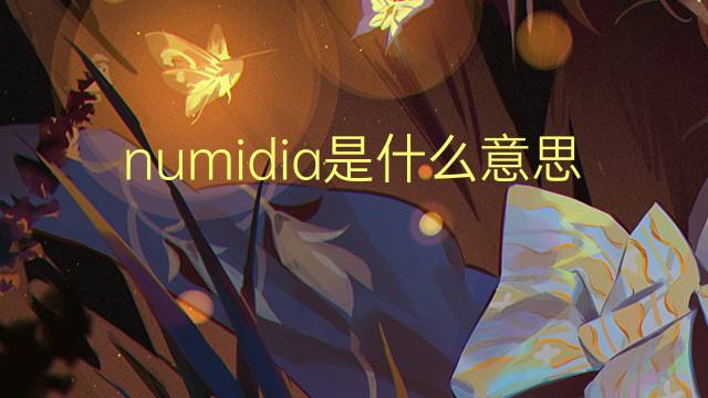 numidia是什么意思 numidia的翻译、读音、例句、中文解释