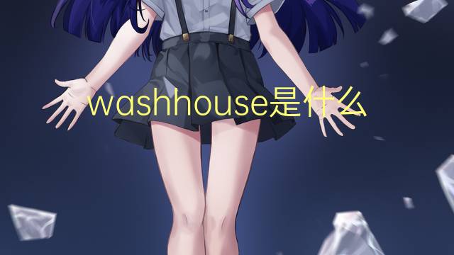 washhouse是什么意思 washhouse的翻译、读音、例句、中文解释