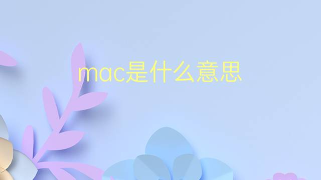 mac是什么意思 mac的翻译、读音、例句、中文解释