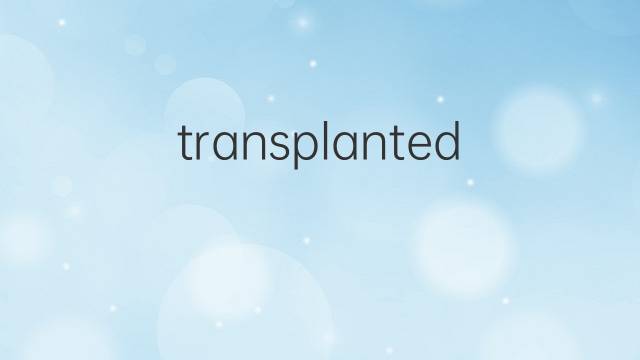 transplanted是什么意思 transplanted的翻译、读音、例句、中文解释