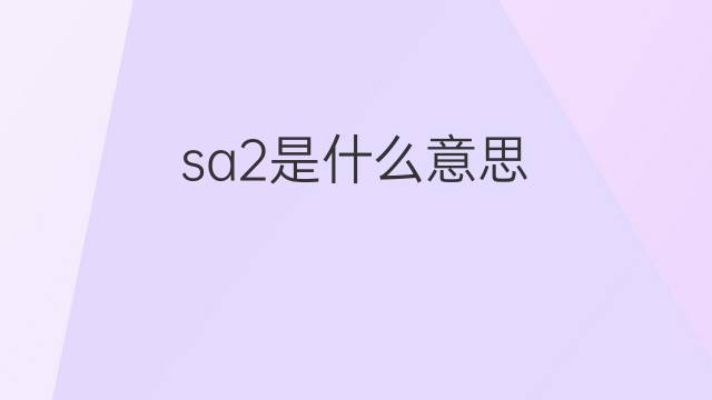 sa2是什么意思 sa2的翻译、读音、例句、中文解释