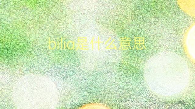 bilia是什么意思 bilia的翻译、读音、例句、中文解释