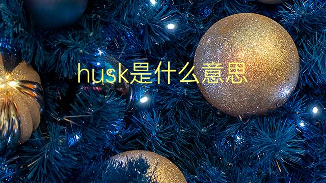 husk是什么意思 husk的翻译、读音、例句、中文解释