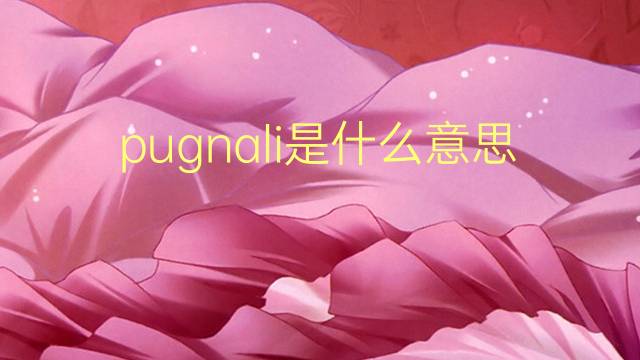 pugnali是什么意思 pugnali的翻译、读音、例句、中文解释