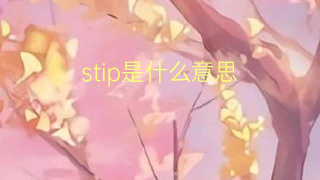 stip是什么意思 stip的翻译、读音、例句、中文解释