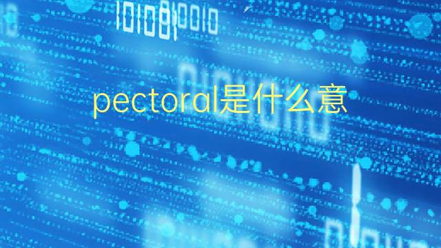 pectoral是什么意思 pectoral的翻译、读音、例句、中文解释