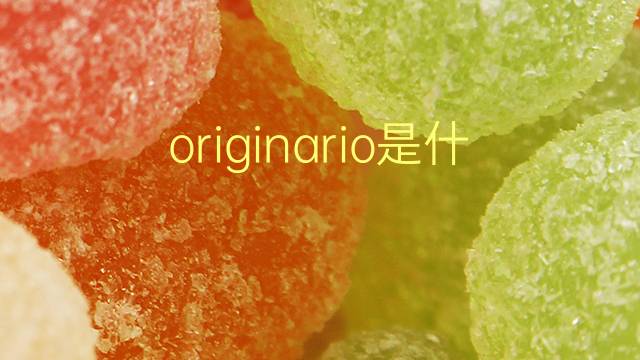 originario是什么意思 originario的翻译、读音、例句、中文解释