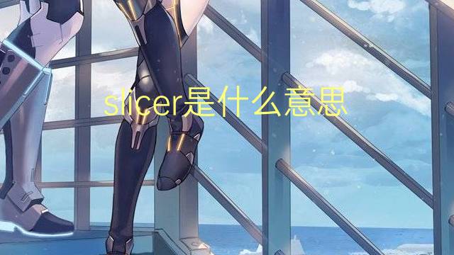 slicer是什么意思 slicer的翻译、读音、例句、中文解释