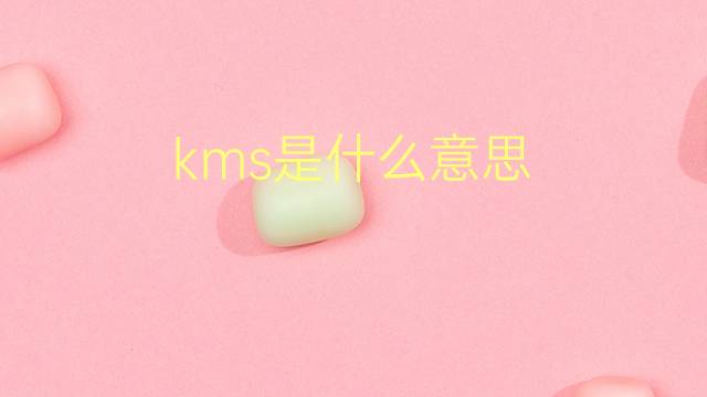 kms是什么意思 kms的翻译、读音、例句、中文解释