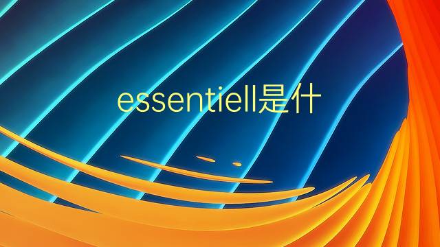 essentiell是什么意思 essentiell的翻译、读音、例句、中文解释