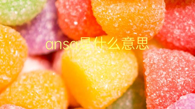 ansa是什么意思 ansa的翻译、读音、例句、中文解释