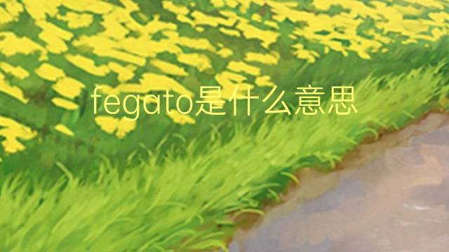 fegato是什么意思 fegato的翻译、读音、例句、中文解释