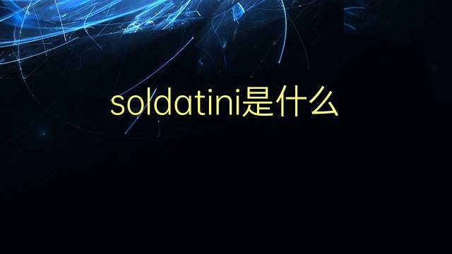 soldatini是什么意思 soldatini的翻译、读音、例句、中文解释