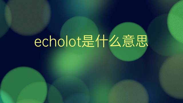 echolot是什么意思 echolot的翻译、读音、例句、中文解释