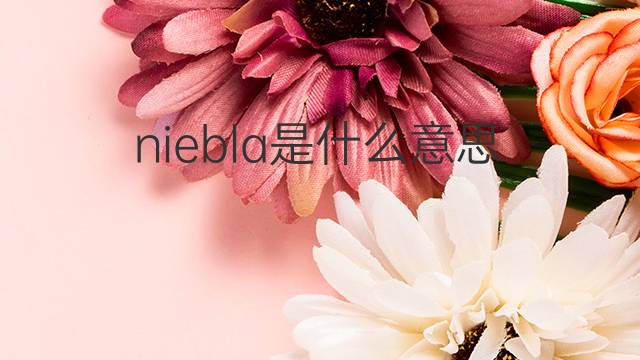 niebla是什么意思 niebla的翻译、读音、例句、中文解释