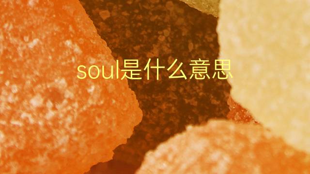 soul是什么意思 soul的翻译、读音、例句、中文解释