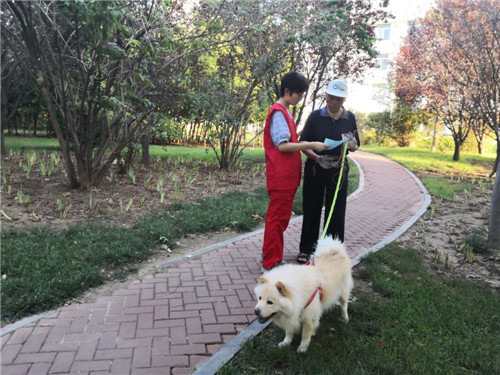 小区文明养犬温馨提示怎么写