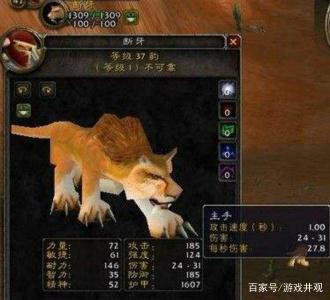 魔兽世界怀旧服猎人宝宝选择_猎人宝宝选择 培养攻略（图文）