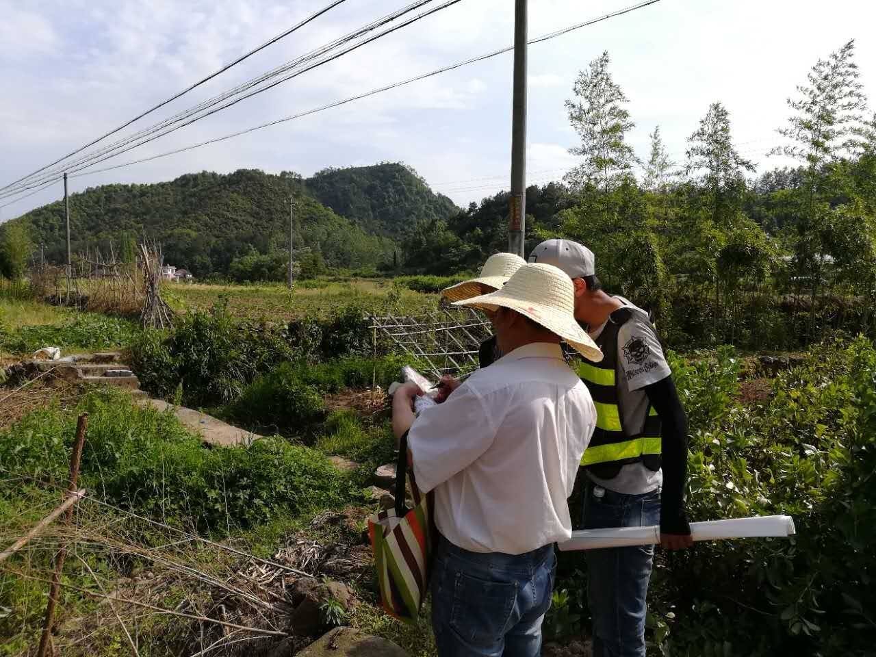 土地被别人确权怎么办