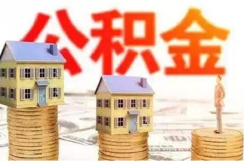 为什么住房公积金查询不到