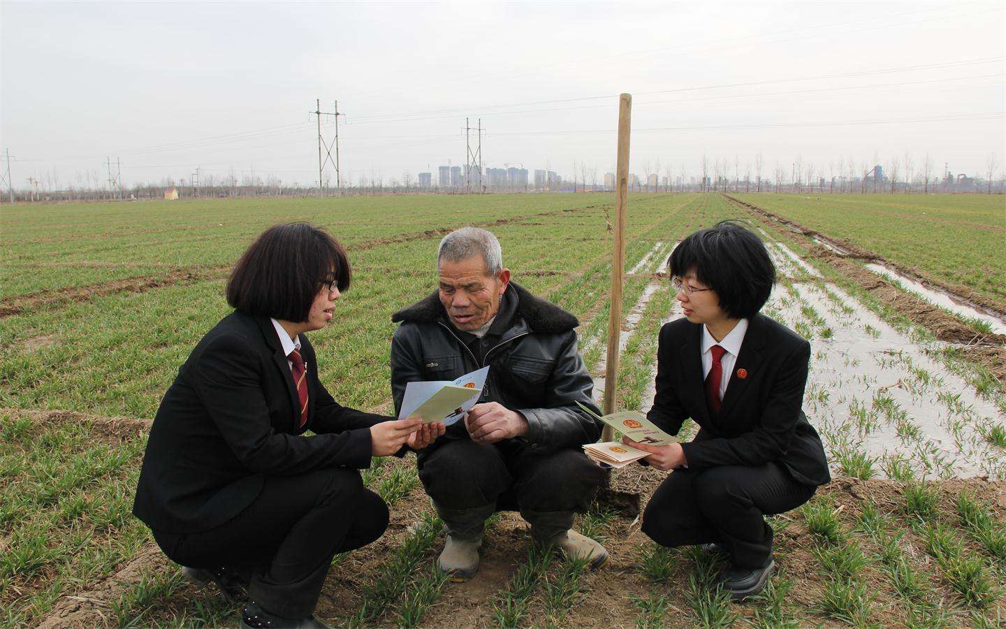 农村土地确权怎么办理