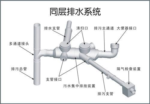 什么是同层排水