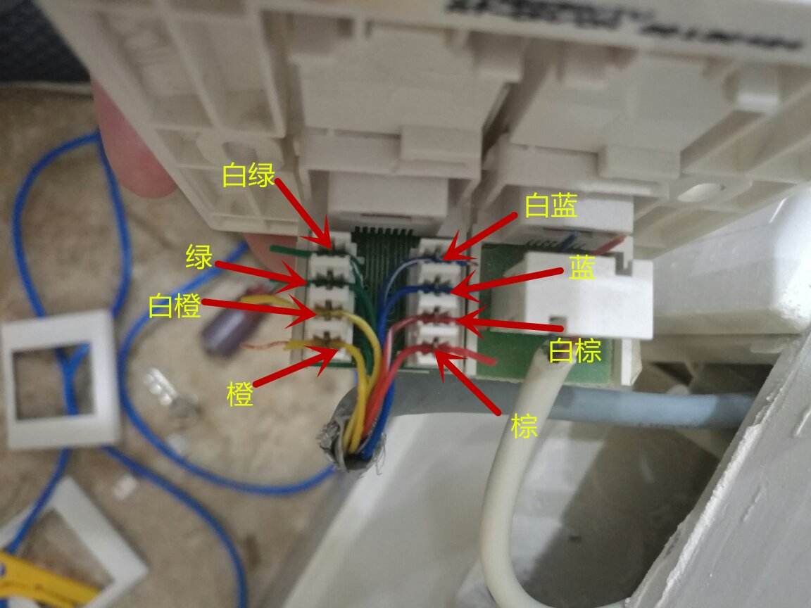 网线插座怎么接