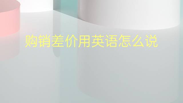 购销差价用英语怎么说 购销差价英语翻译