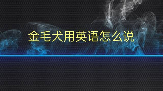 金毛犬用英语怎么说 金毛犬的英语翻译