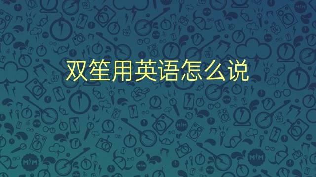 双笙用英语怎么说 双笙的英语翻译